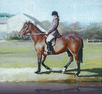 Nicola Jenkins on Sky - 50 x 60 cm